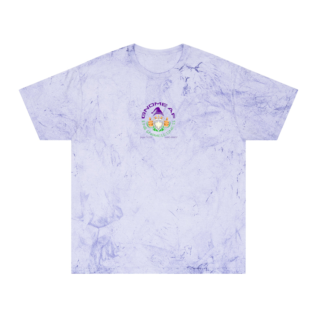 End Gnomelessness Logo Color Blast Unisex Tee